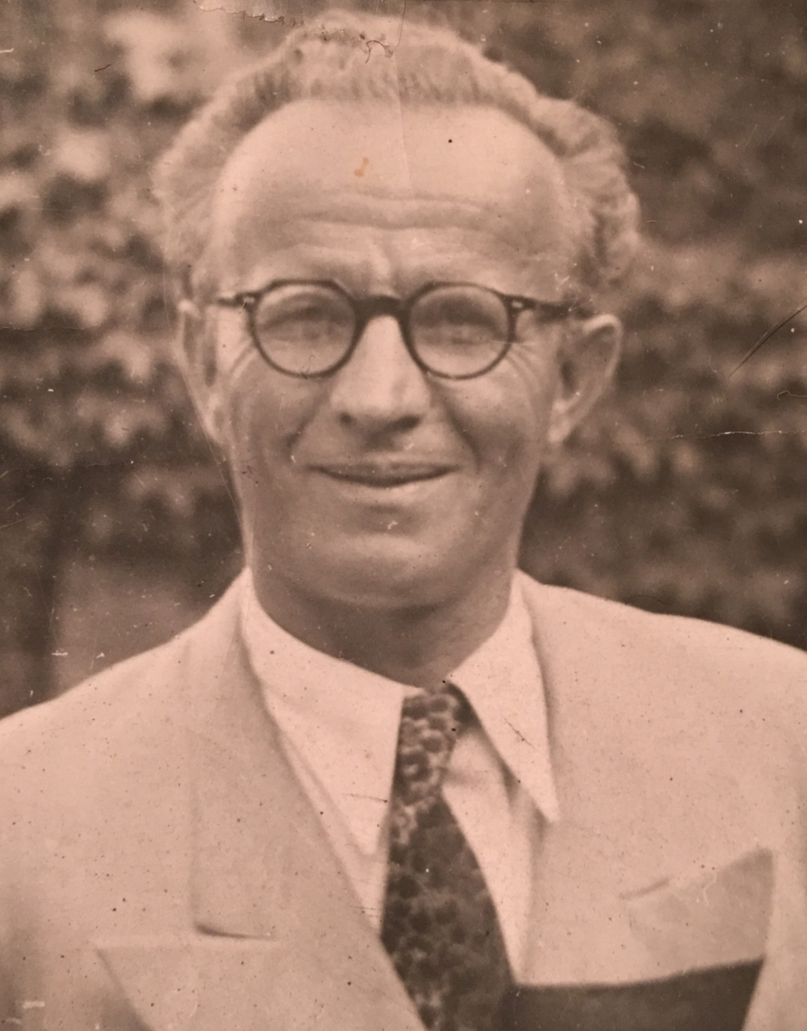 Vladan Bataveljic