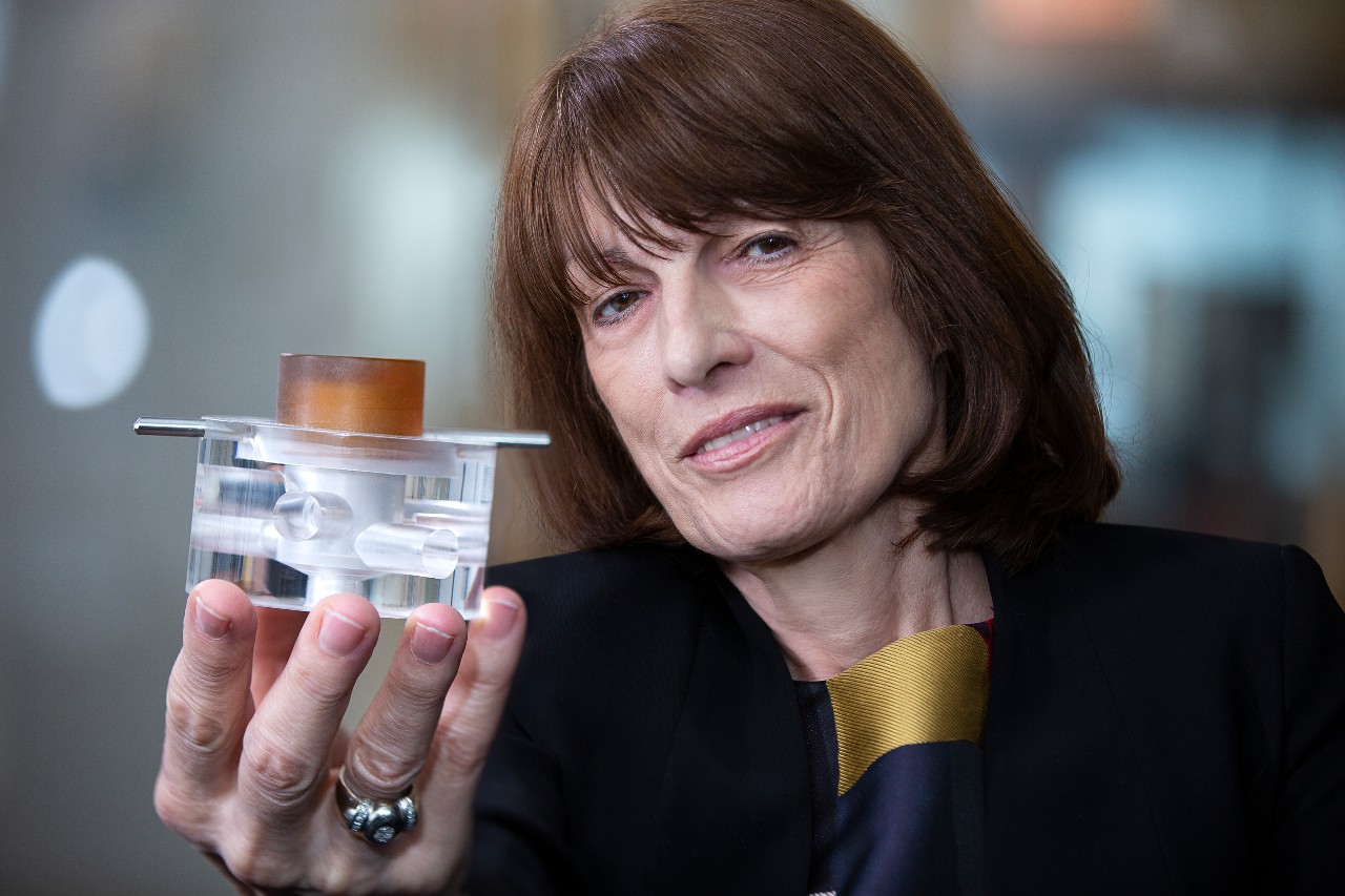 Gordana Vunjak-Novaković, foto: Evropski zavod za patente