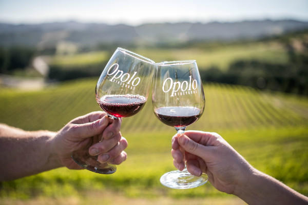 Opolo wine glasses
